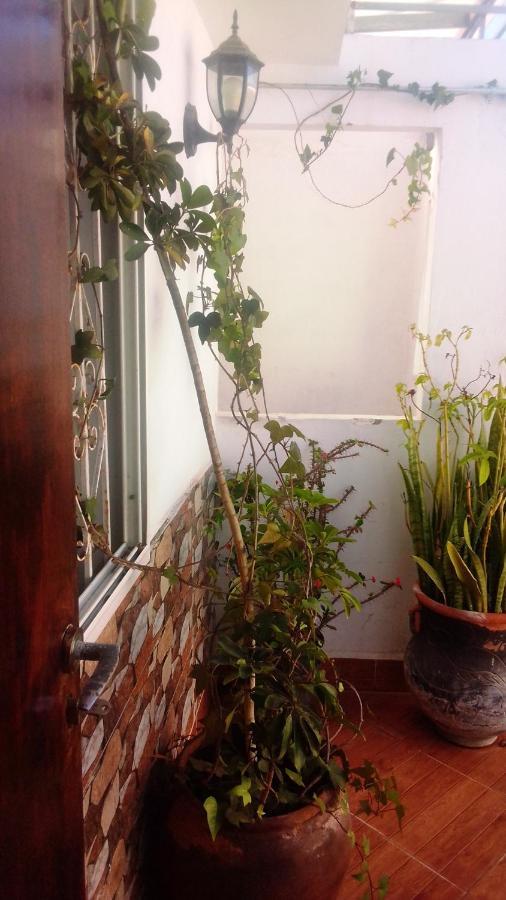 Amine Avec Terasse Privee Appartement Rabat