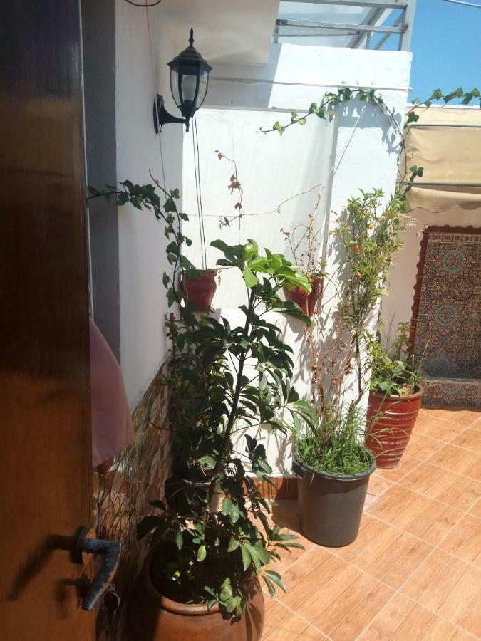 Amine Avec Terasse Privee Appartement